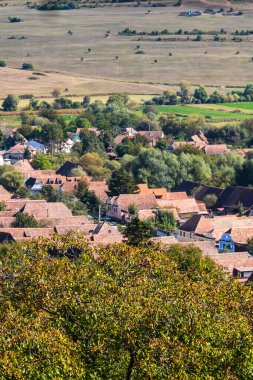 Romanya 'da bitki örtüsü, tarlaları ve evleri olan bir kırsal alan manzarası.