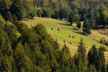 Harvested hay on a green field and against the mountains
