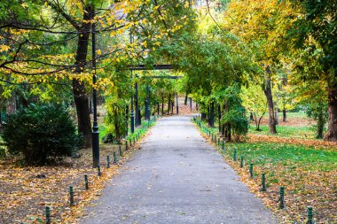 Romanya 'nın başkenti Bükreş' teki Cismigiu parkındaki boş sokak