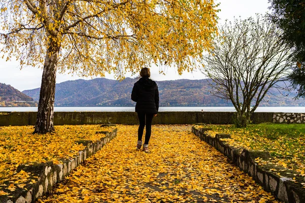 Autumn leaves fallen on alone woman walking on the autumn alley