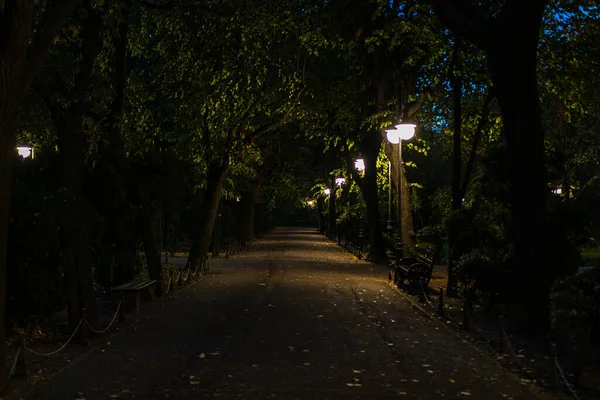 Éjszakai Jelenet Sötét Sikátor Cismigiu Gardens Parkban Éjszaka Bukarest Belvárosában — Stock Fotó