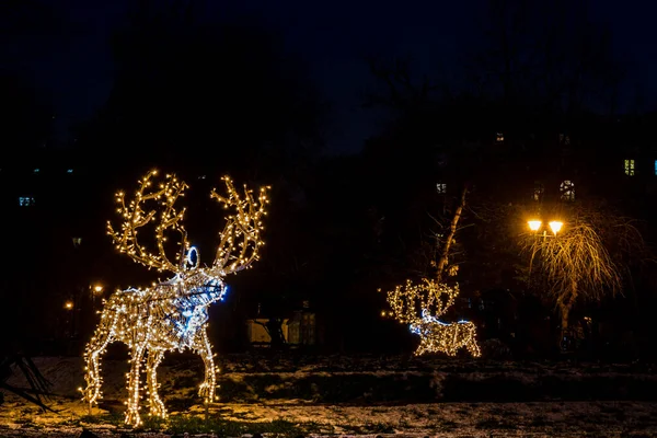 Decorações Natal Nos Jardins Parque Cismigiu Localizado Centro Bucareste Roménia — Fotografia de Stock