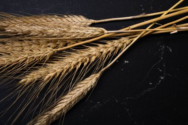 Buğday kulağı detayı. Mısır gevreği, un üretimi.