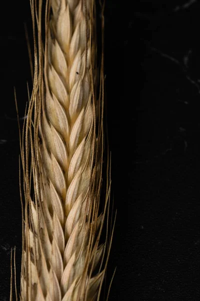 Деталі Пшеничних Вух Зернові Солодощів Виробництво Борошна — стокове фото