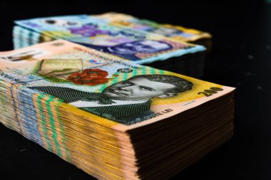 Bir yığın LEI Romanya parası. RON Leu Para Avrupa Para Birimi