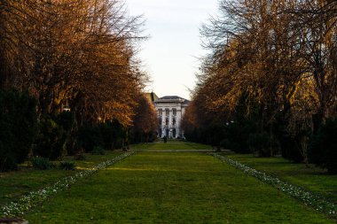 Autumn scenery with alley of fall leaves