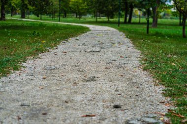 Autumn scenery with alley of fall leaves
