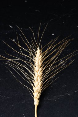 Buğday kulağı detayı. Mısır gevreği, un üretimi.