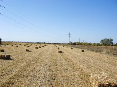Hasattan sonra saman balyalarıyla tarım arazisi.