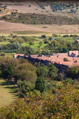 Romanya 'da bitki örtüsü, tarlaları ve evleri olan bir kırsal alan manzarası.