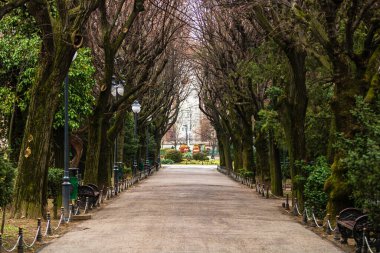 Romanya 'nın başkenti Bükreş' teki Cismigiu parkındaki boş sokak