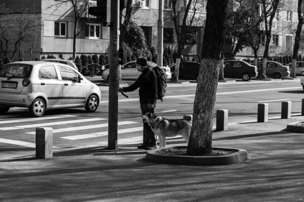 Κυκλοφορία Αυτοκινήτων Ρύπανση Κυκλοφοριακή Συμφόρηση Στο Βουκουρέστι Ρουμανία 2022 — Φωτογραφία Αρχείου