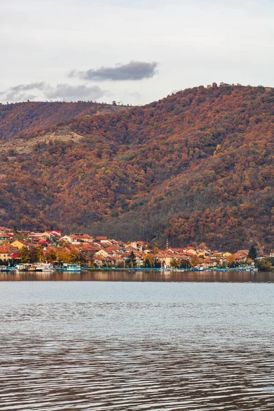 Vista Del Río Danubio Vegetación Ciudad Orsova Edificios Vista Frente — Foto de Stock