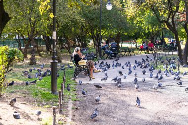 İnsanlar ve turistler parkta dolaşıyorlar. Bükreş, Romanya, 2022