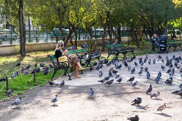 Nsanlar Turistler Parkta Dolaşıyorlar Bükreş Romanya 2022 — Stok fotoğraf