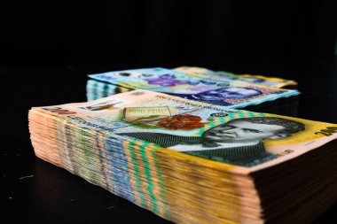 Bir yığın LEI Romanya parası. RON Leu Para Avrupa Para Birimi