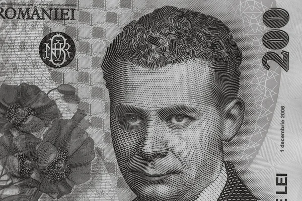 Румынские Деньги Денежная Единица Леях Инфляция — стоковое фото