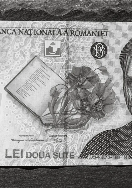 Rumänska Lei Pengar Ron Leu Pengar Europeisk Valuta Och Inflation — Stockfoto