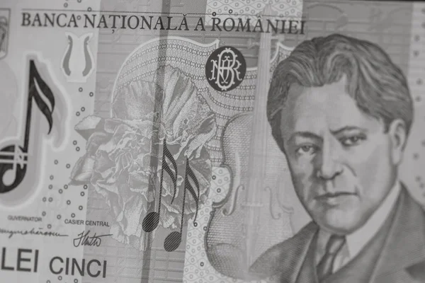 Lei Román Pénz Ron Leu Pénz Európai Valuta Infláció — Stock Fotó