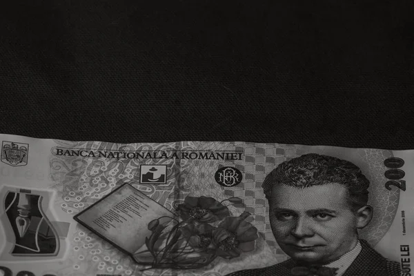루마니아어 돈이다 통화와 인플레이션 — 스톡 사진