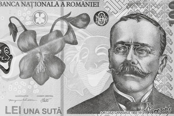 Румынские Деньги Денежная Единица Леях Инфляция — стоковое фото