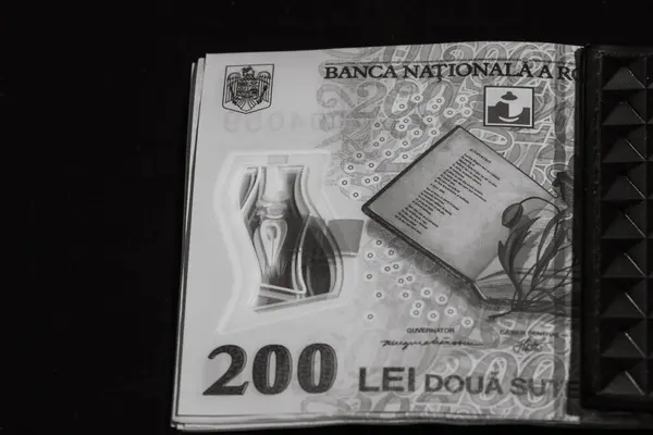 ルーマニアの金だ Ron Leuお金ヨーロッパ通貨とインフレ — ストック写真