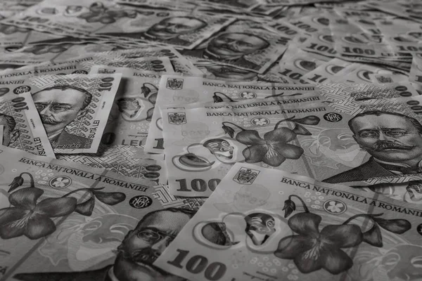 Румунські Гроші Ron Leu Money European Валюта Інфляція — стокове фото