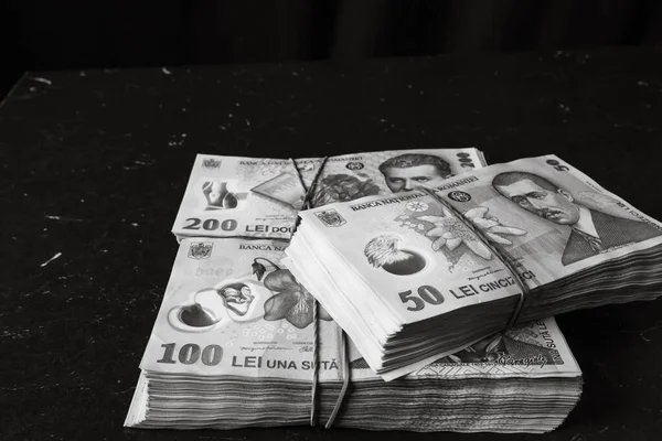 Rumuńskie Pieniądze Lei Ron Leu Pieniądze Euro Waluta Inflacja — Zdjęcie stockowe