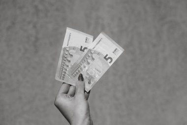 Euro banknotları. Enflasyon, harcamalar ve gelir. EURO para biriminde finans ve tasarruflar