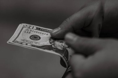 Amerikan dolarları. Amerikan ekonomisi enflasyon ve devalüasyon