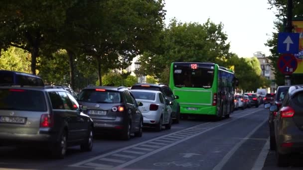 Biltrafik Vid Rusningstid Bilförorening Trafikstockning — Stockvideo