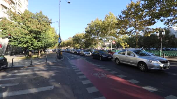 Tráfico Coches Hora Punta Contaminación Del Coche Atasco Tráfico — Vídeo de stock