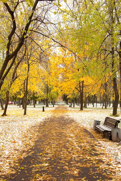 Kışın pitoresk park