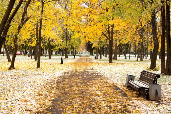 Kışın pitoresk park