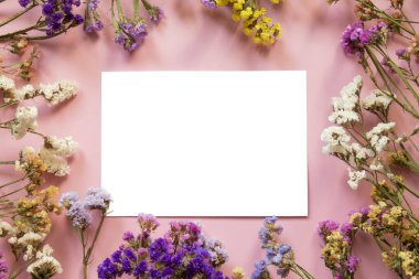 Çiçek kompozisyonu. Kurutulmuş çok renkli çiçeklerden yapılmış çerçeve. Düz yatış, metin için yeri olan üst görünüm.