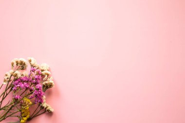 Çiçek kompozisyonu. Kurutulmuş çok renkli çiçeklerden yapılmış çerçeve. Düz yatış, metin için yeri olan üst görünüm.