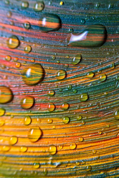 Färgglada flerfärgad färg täckt med vattendroppar, tema tapet bakgrund. Selektivt fokus. Flerfärgad abstraktion. Fantastisk hypnotisk yta. Abstrakt mönster närbild, konsistens flytande färg — Stockfoto