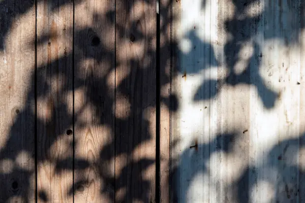 Hard shadows of a deciduous tree on an old wood background. — Stock Fotó