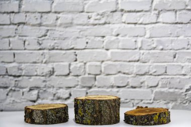 Yosun kaplı ahşap kürsüler. Beyaz arka plan. Chiaroscuro deseni, düzen ya da ayakta dur.