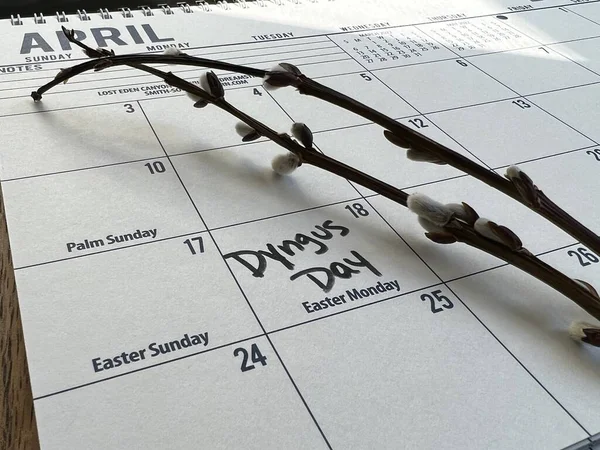 Dyngus (veya Dingus) bir takvimde işaretli bir gün. Dyngus Günü, Paskalya pazarından hemen sonra pazartesi günü düşen bir bayramdır. Tarihsel olarak, Polonya 'nın Doğu Avrupa ve ABD içinde Polonyalı Amerikalılar tarafından kutlanan bir bayramıdır..