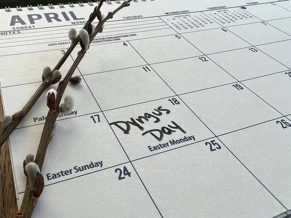 Dyngus (veya Dingus) bir takvimde işaretli bir gün. Dyngus Günü, Paskalya pazarından hemen sonra pazartesi günü düşen bir bayramdır. Tarihsel olarak, Polonya 'nın Doğu Avrupa ve ABD içinde Polonyalı Amerikalılar tarafından kutlanan bir bayramıdır..