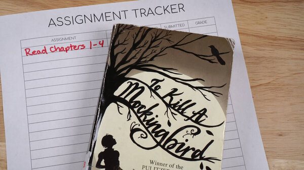Assigned homework to read To Kill a Mockingbird by Harper Lee.