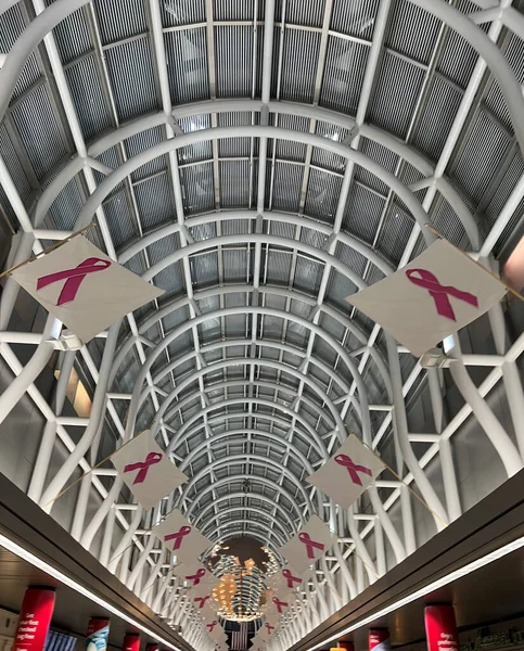 Borstkanker Bewustzijn Roze Lint Vlaggen Hangen Hall Flags Terminal Van — Stockfoto