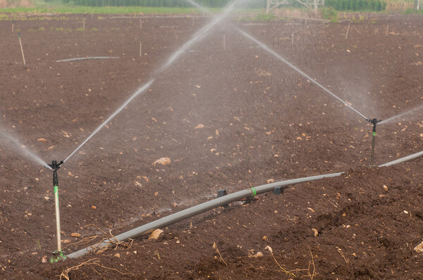 Crop irrigation