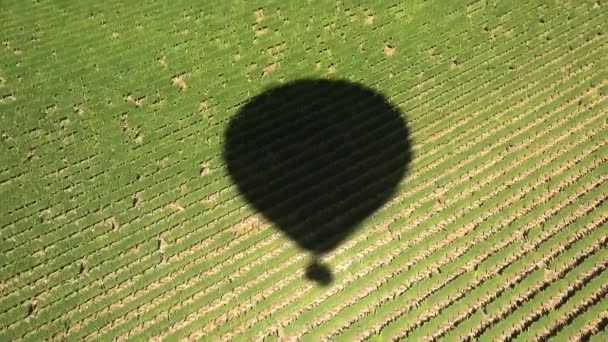 Antenn 4K stor varmluft ballong skugga lyfta upp ovanför grönt jordbruk fält — Stockvideo