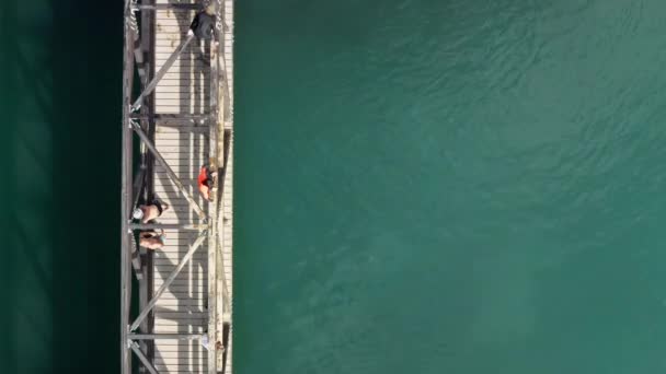 一个男人从桥上跳下的镜头 — 图库视频影像