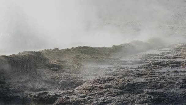 Utbrottet av gejser med varm tjock ånga. Naturfysik 4K Yellowstone — Stockvideo