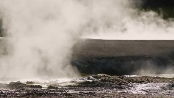 Eau bouillante chaude éclaboussant de vapeur épaisse blanche soulevant dans l'air, États-Unis — Video