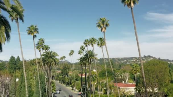 Conduite aérienne 4K par Beverly Drive, Californie palmiers dans le ciel bleu d'été États-Unis — Video