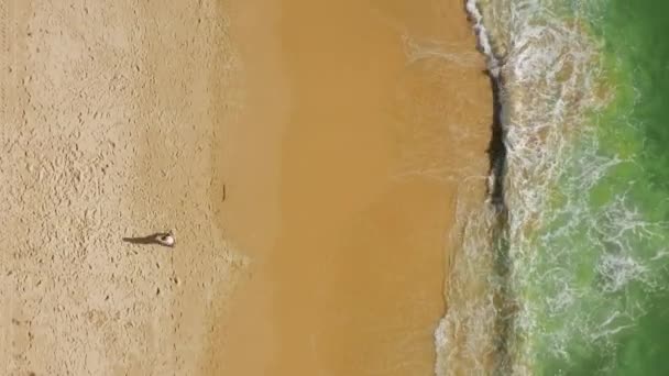 Muž těší krásné moře s nazelenalým přílivem pokrývající zlatý písek — Stock video